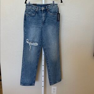 NWT BLANKNYC size 25 The Howard Distressed Blue Jeans